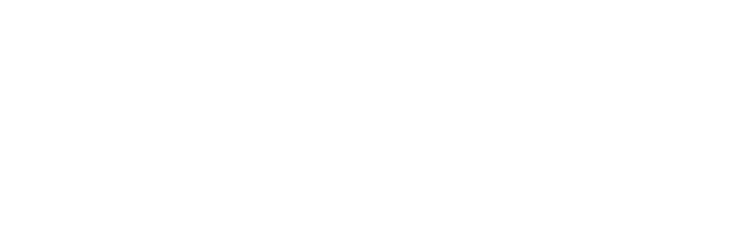 ラプラスゲームの進め方