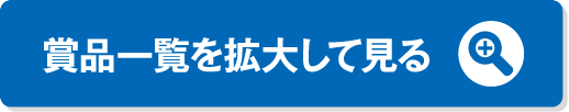 賞品一覧を拡大して見る