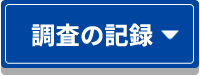 探検の記録