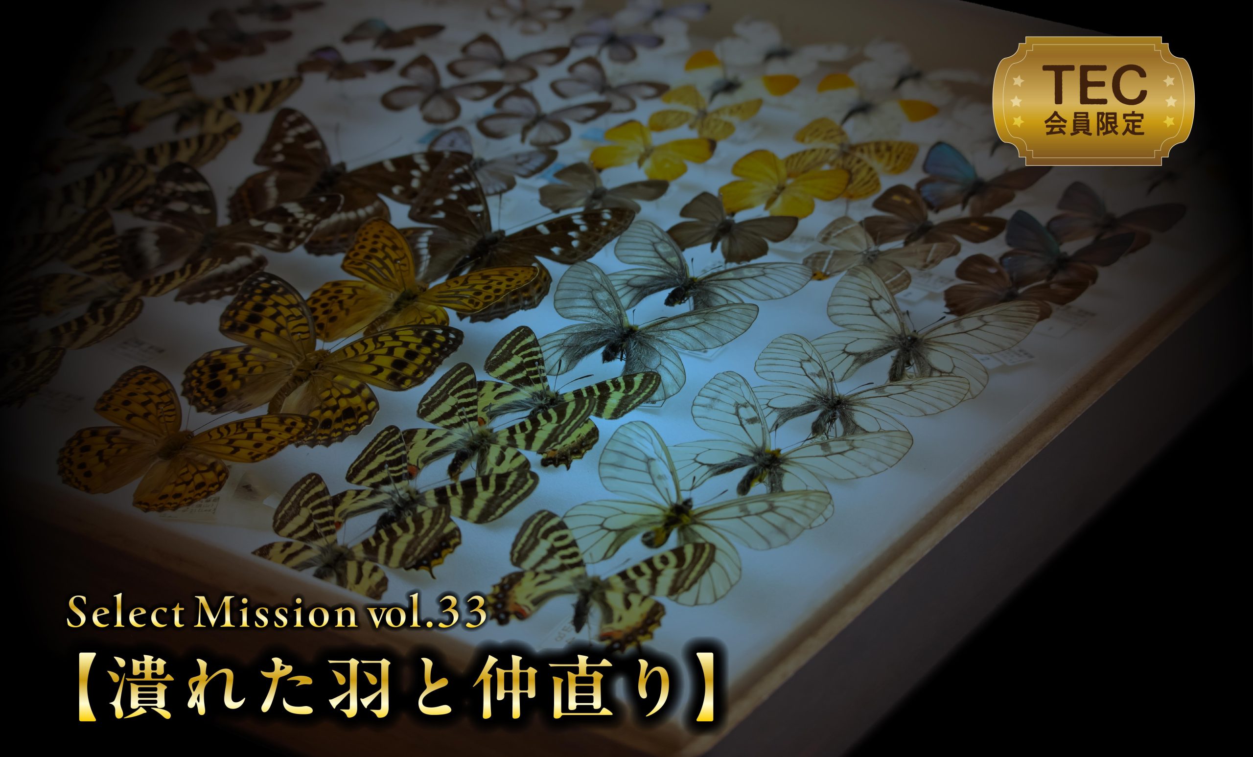 トレジャークエスト | HUNTERS VILLAGE